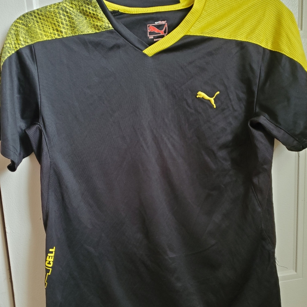 Puma